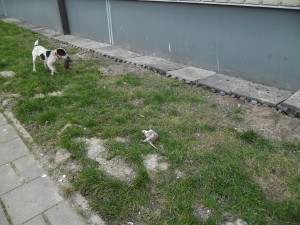 2015_02140019 