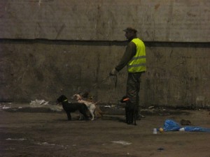 img_1049 